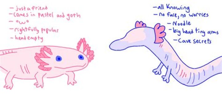 Are olms and axolotls related?