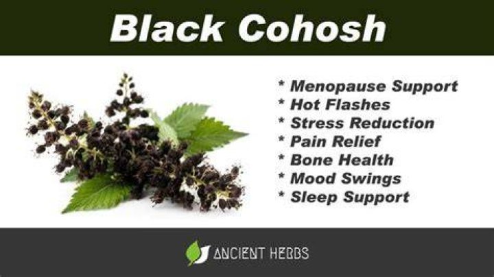 Did black cohosh work for you?