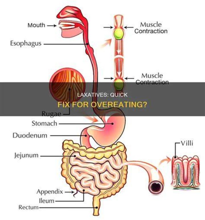 Do laxatives stop you from absorbing calories?