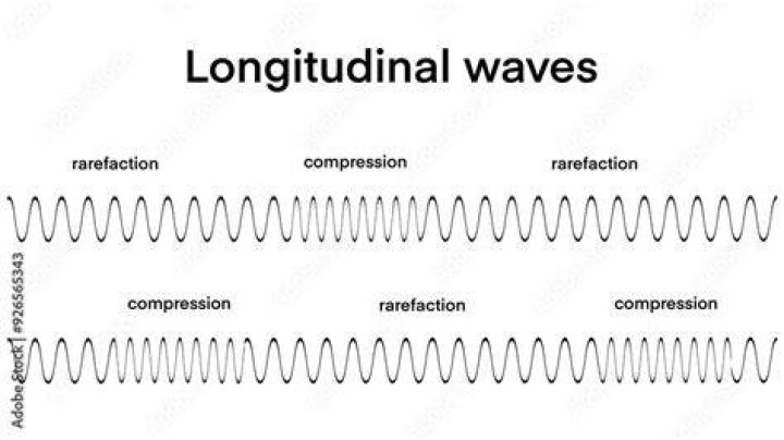 Do transverse waves have rarefactions?