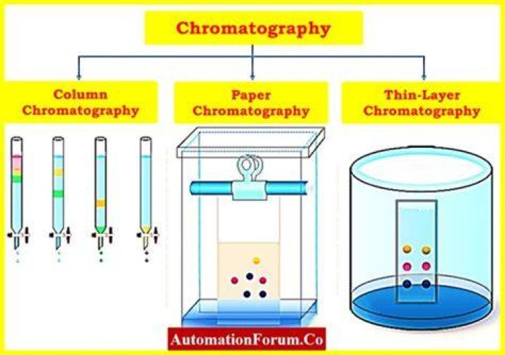 Does chromatography work with permanent markers?