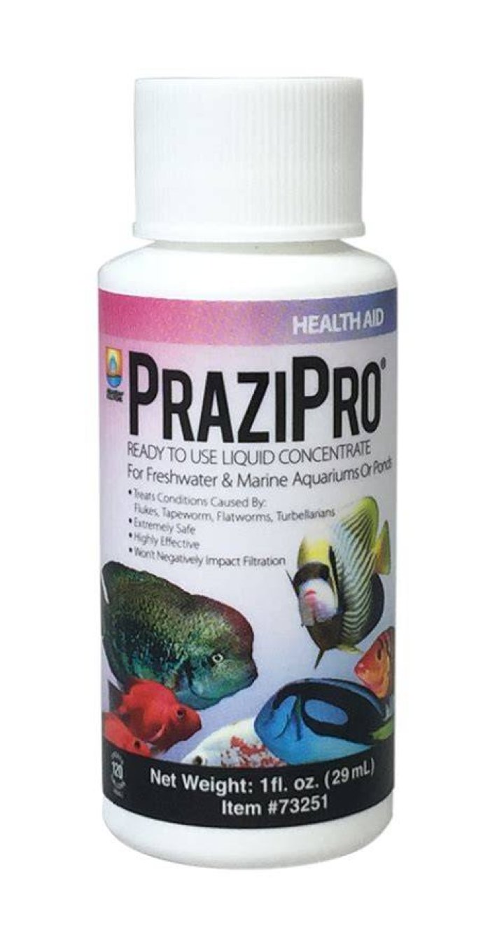 Does prazipro kill flatworms?