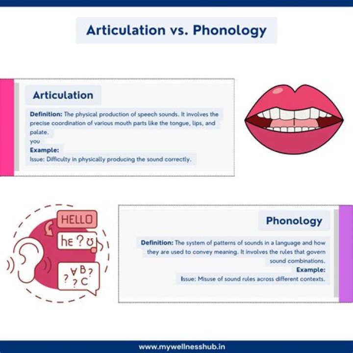 Does the word articulation mean?