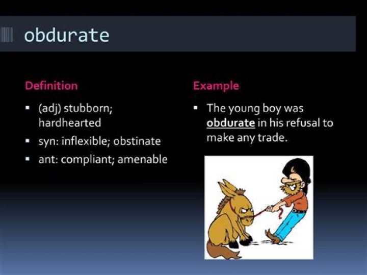Does the word obdurate mean?