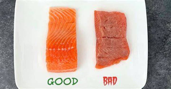 Has my frozen salmon gone bad?
