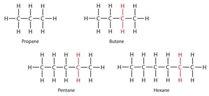 In alkanes each carbon atom forms?
