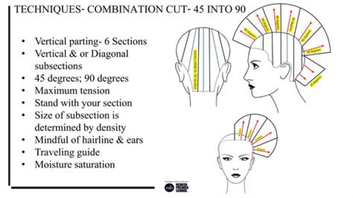 In haircutting a subsection of the hair is known as this?