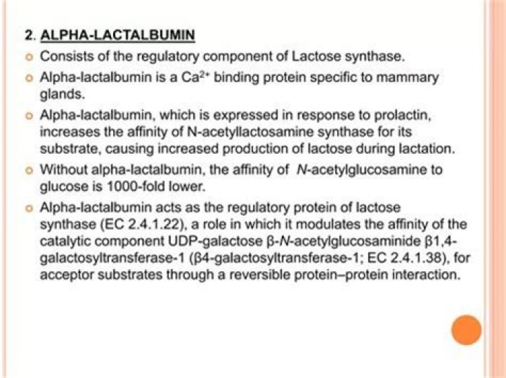Is lactalbumin the same as lactose?