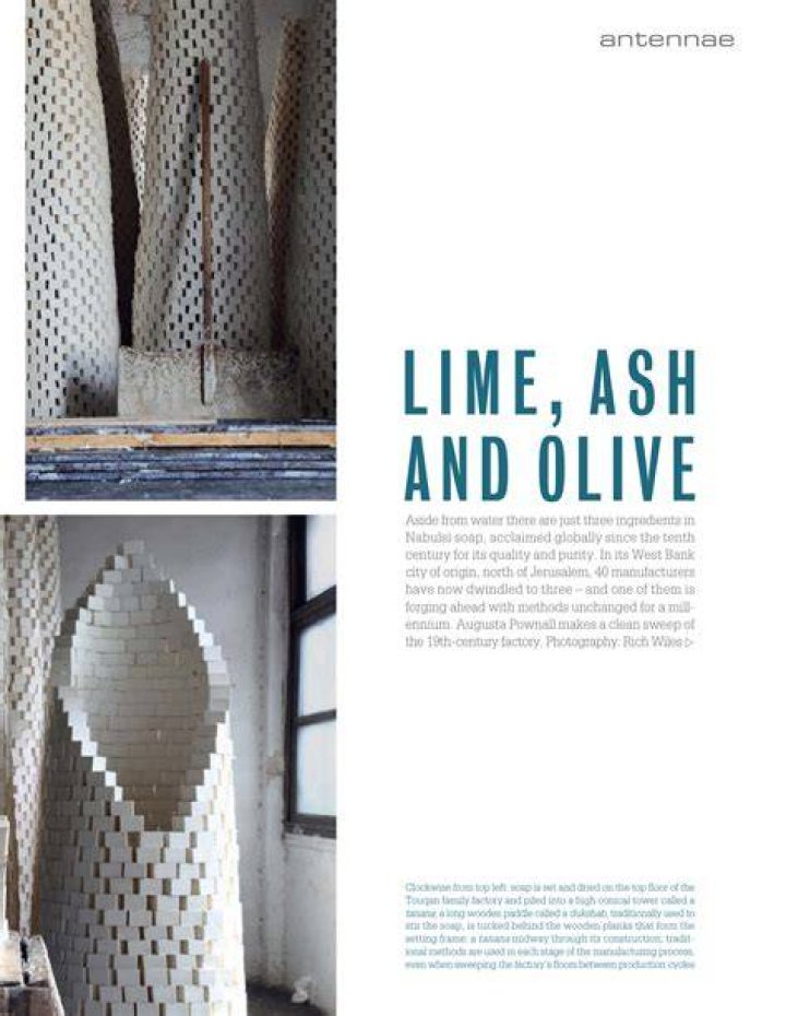 Is there lime in ash?