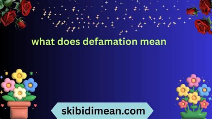 Was does defamation mean?