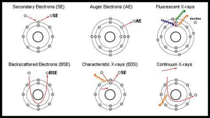 What are backscattered electrons and secondary electrons?