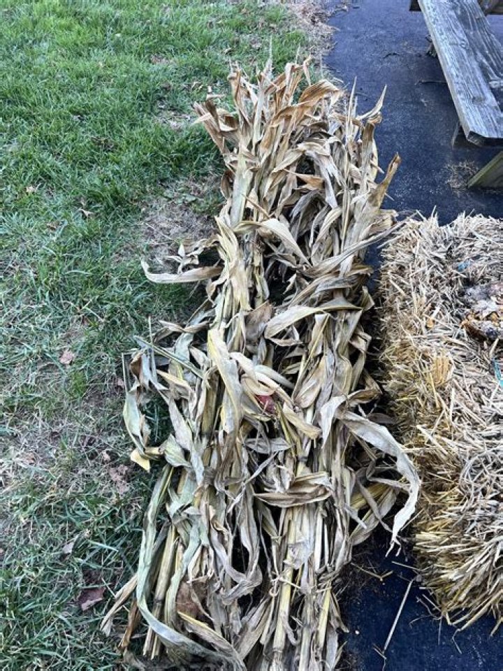 What are baled corn stalks used for?