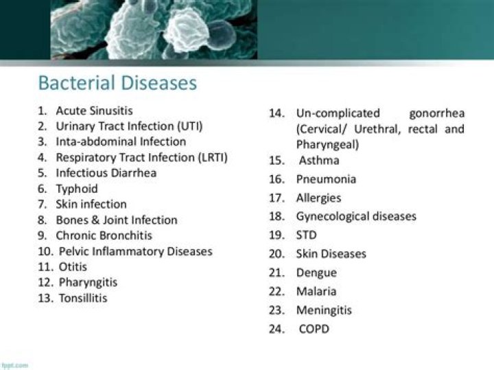 What diseases does bacillus cause?