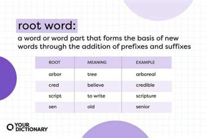 What does the root omphalo meaning?