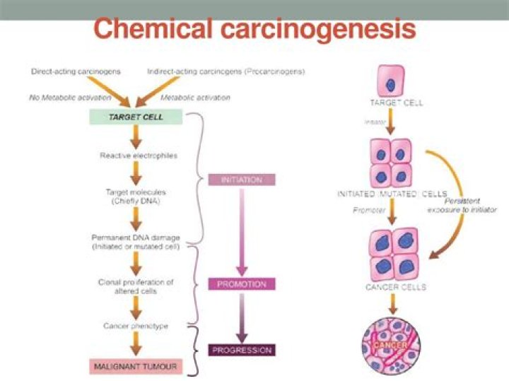 What is chemical carcinogenesis?