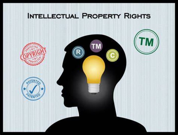 What is intellectual property rights?