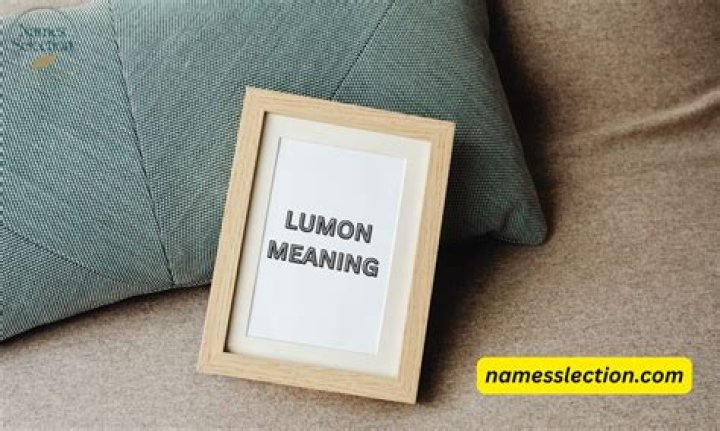 What is the meaning of lection?
