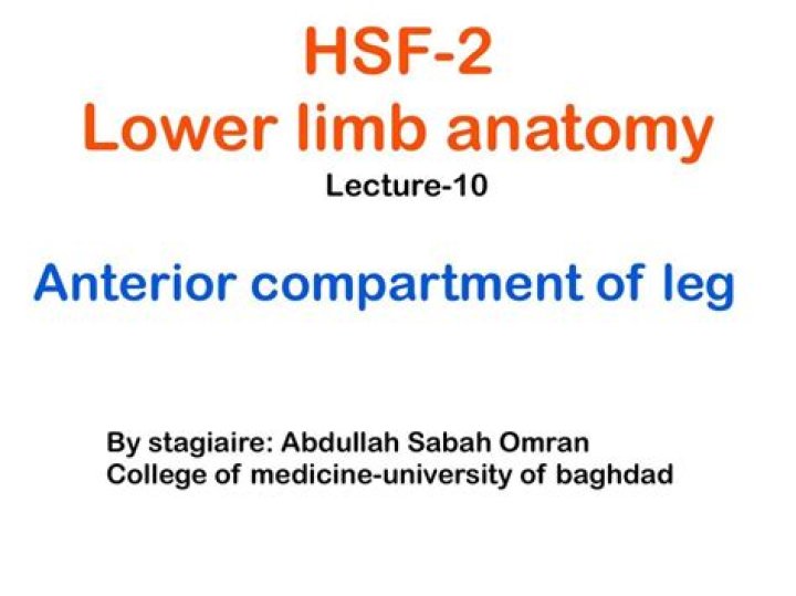 What is the meaning of the root leg lig lect?