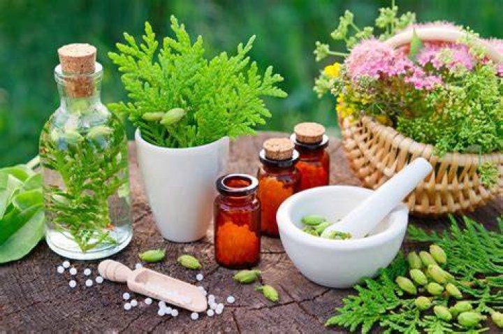 What is the use of homeotherapy?