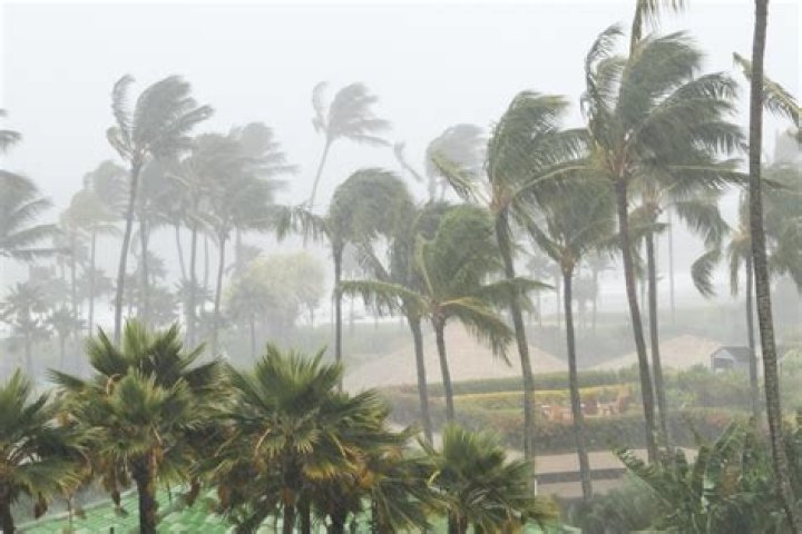 Whats a monsoon climate?