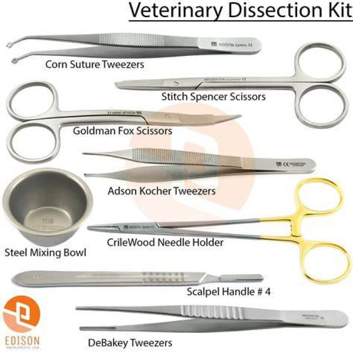 When dissecting a toad what are the best tools to use?