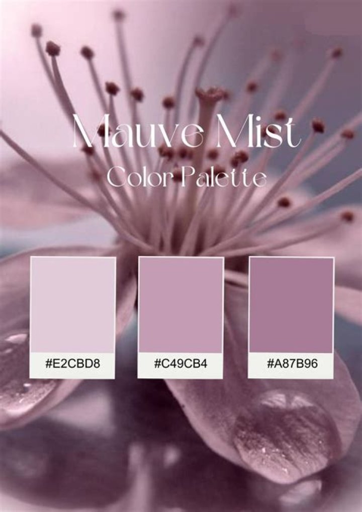 Which colours make mauve?