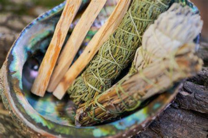 Which sage is cultural appropriation?