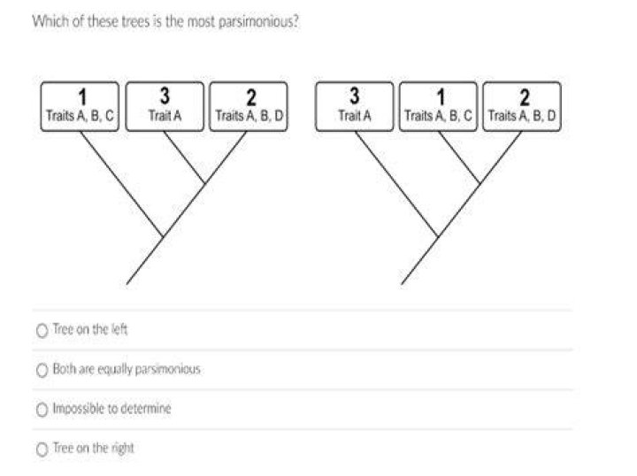 Which tree is most parsimonious?