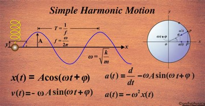 Why is simple harmonic motion an idealization?