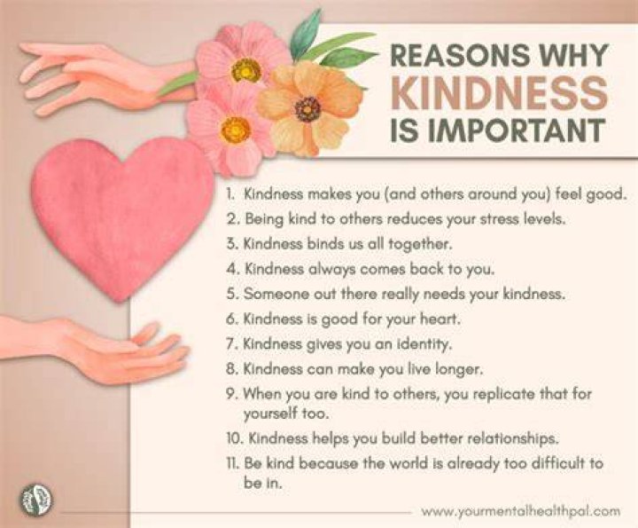 Why kindness is important essay?