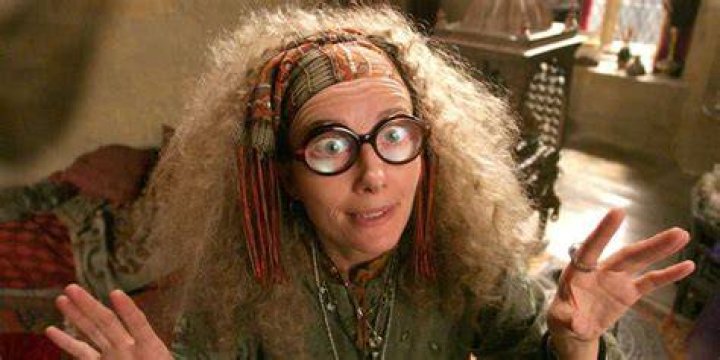 Why was trelawney fired?